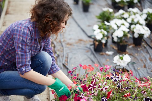 Professional lawn mowing service in Ickenham