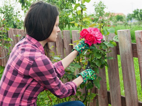 Eco-friendly lawn maintenance practices