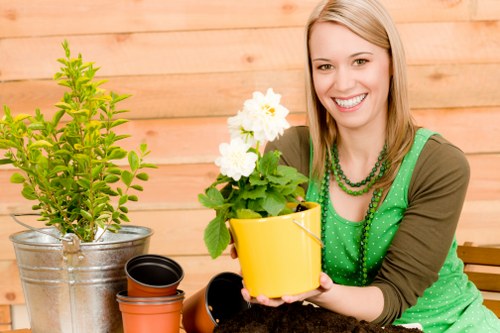 Advanced lawn mowing equipment